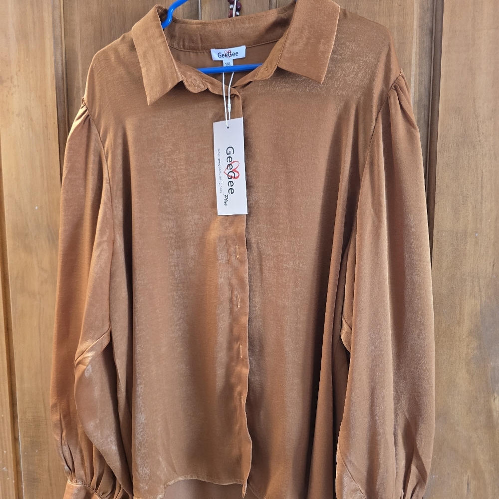 Gee Gee Women's Brown Blouse